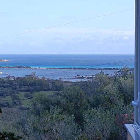 شقة Casa Li Scopi - Ocean View سان تيودورو المظهر الخارجي الصورة