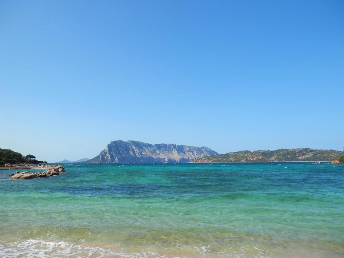 شقة Casa Li Scopi - Ocean View سان تيودورو المظهر الخارجي الصورة