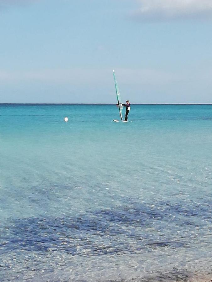 شقة Casa Li Scopi - Ocean View سان تيودورو المظهر الخارجي الصورة
