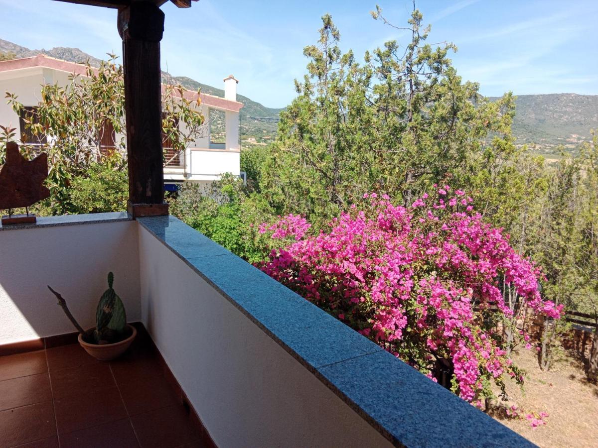 شقة Casa Li Scopi - Ocean View سان تيودورو المظهر الخارجي الصورة