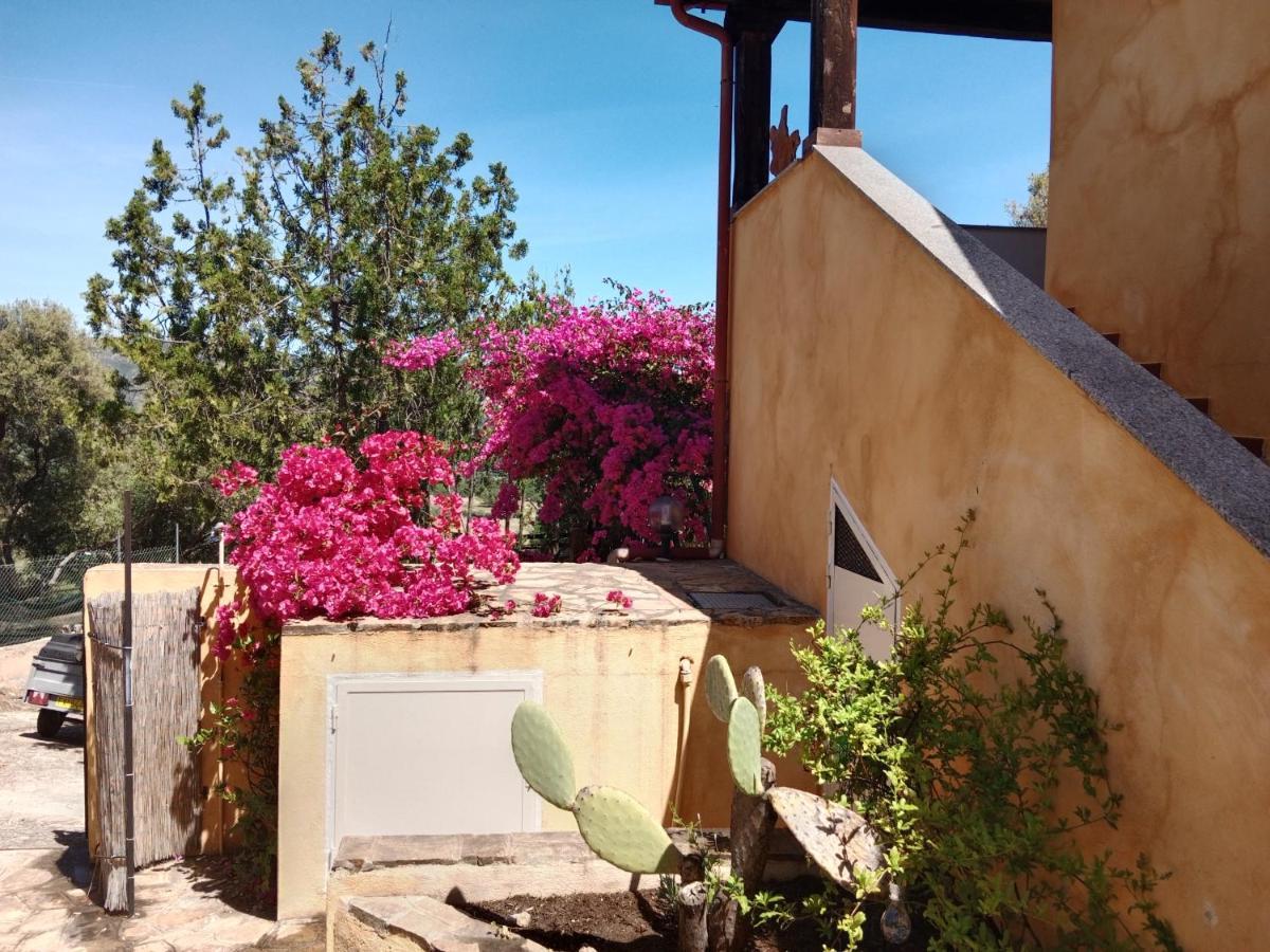 شقة Casa Li Scopi - Ocean View سان تيودورو المظهر الخارجي الصورة