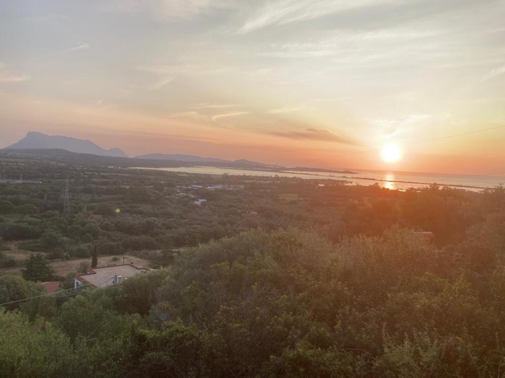 شقة Casa Li Scopi - Ocean View سان تيودورو المظهر الخارجي الصورة