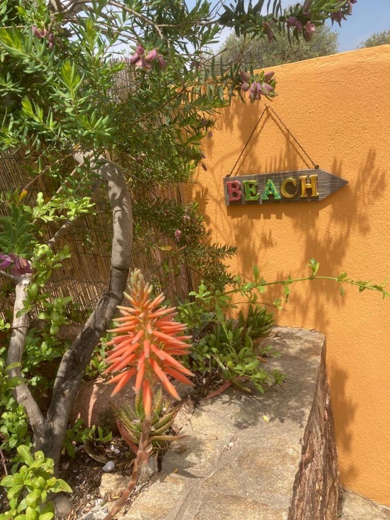 شقة Casa Li Scopi - Ocean View سان تيودورو المظهر الخارجي الصورة