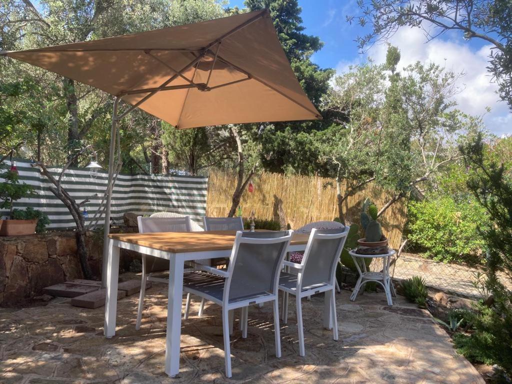 شقة Casa Li Scopi - Ocean View سان تيودورو المظهر الخارجي الصورة