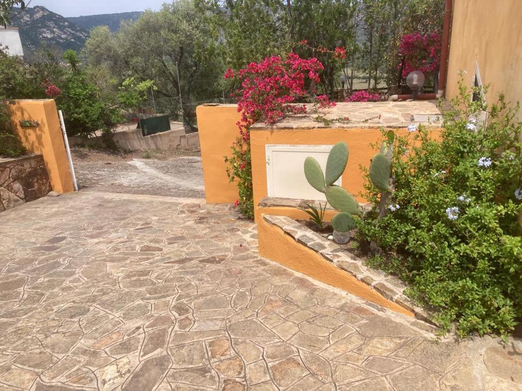 شقة Casa Li Scopi - Ocean View سان تيودورو المظهر الخارجي الصورة