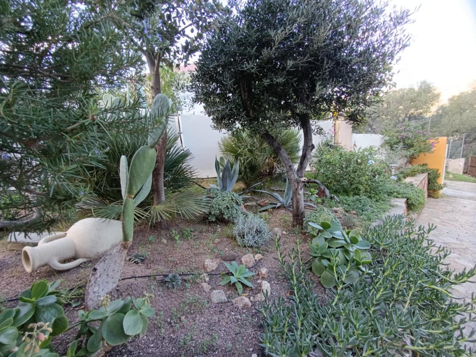 شقة Casa Li Scopi - Ocean View سان تيودورو المظهر الخارجي الصورة