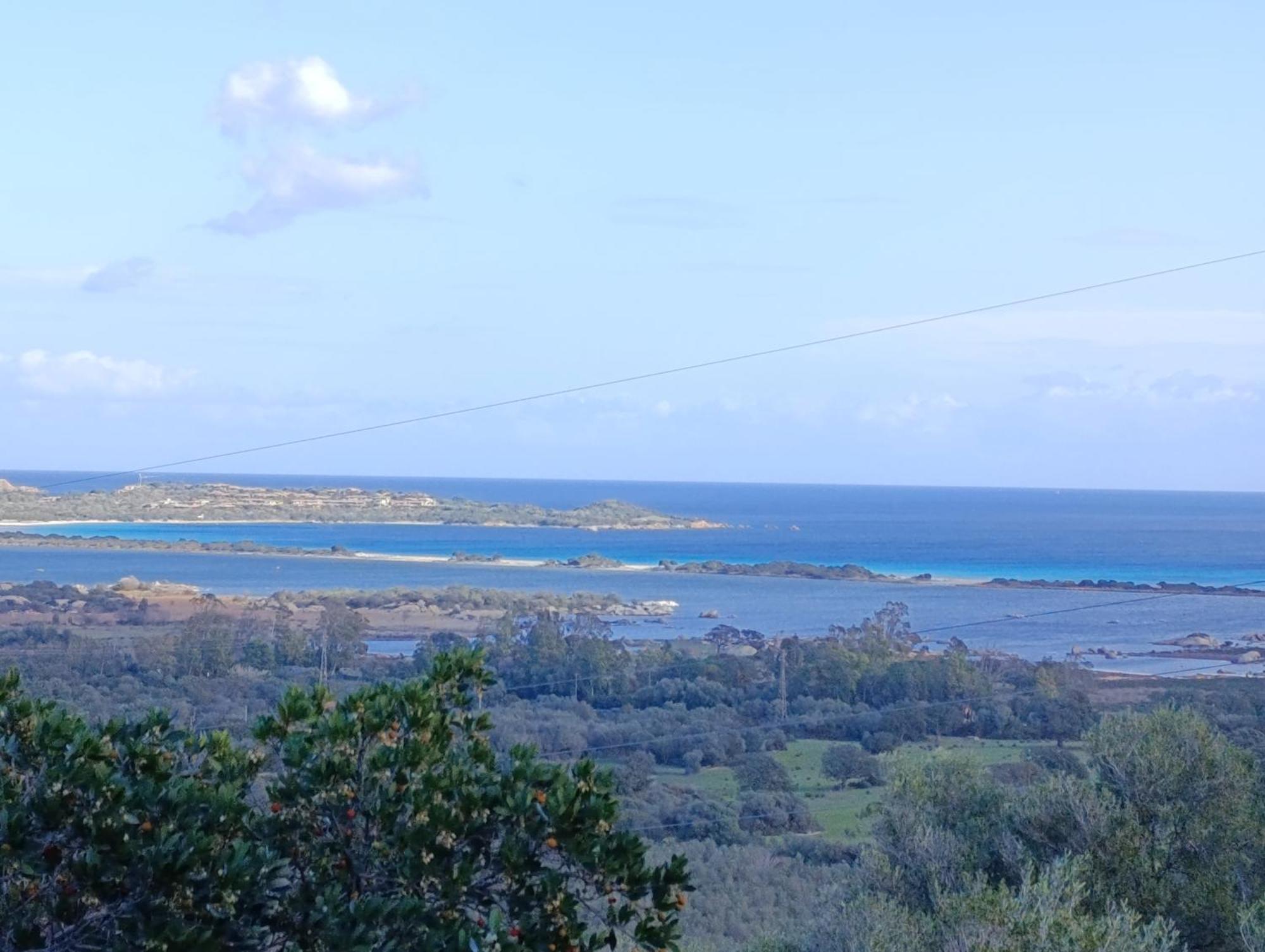 شقة Casa Li Scopi - Ocean View سان تيودورو المظهر الخارجي الصورة
