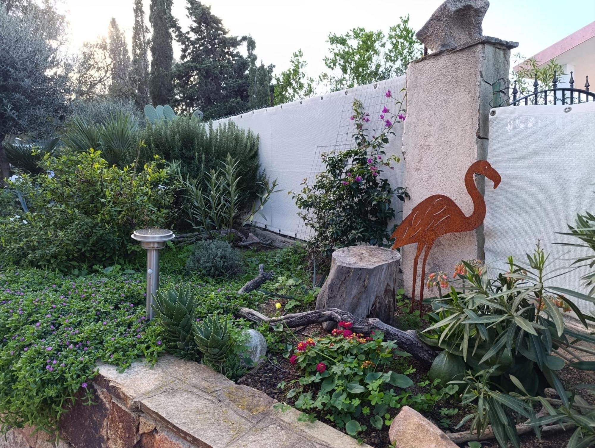 شقة Casa Li Scopi - Ocean View سان تيودورو المظهر الخارجي الصورة